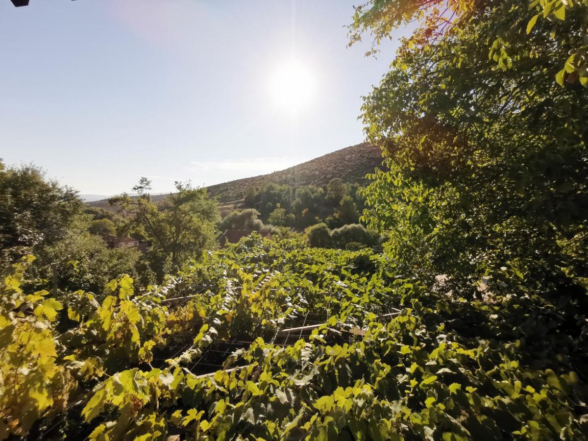 Vila Rira - Rrajce, Shebenik Perrenjas Екстер'єр фото