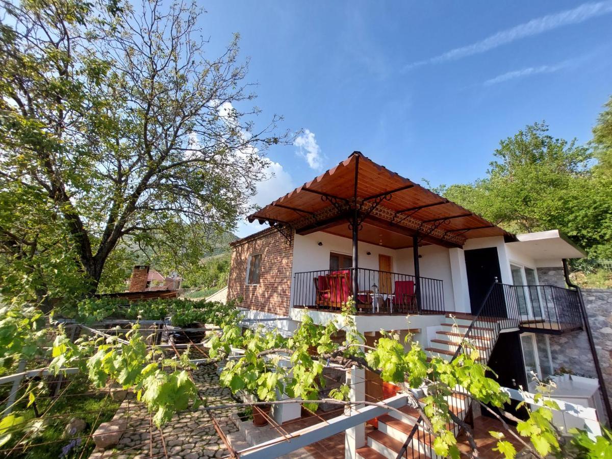 Vila Rira - Rrajce, Shebenik Perrenjas Екстер'єр фото