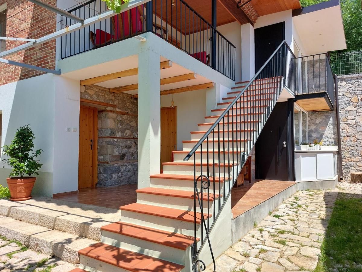 Vila Rira - Rrajce, Shebenik Perrenjas Екстер'єр фото
